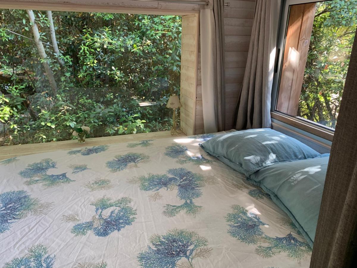 Cabanon Villa ซานารี-ซูร์-แมร์ ภายนอก รูปภาพ